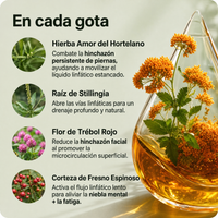 Drenaje Linfático Livianna — Gotas Naturales